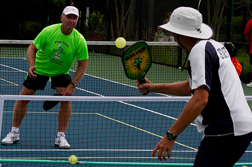 Pickleball 2 Image